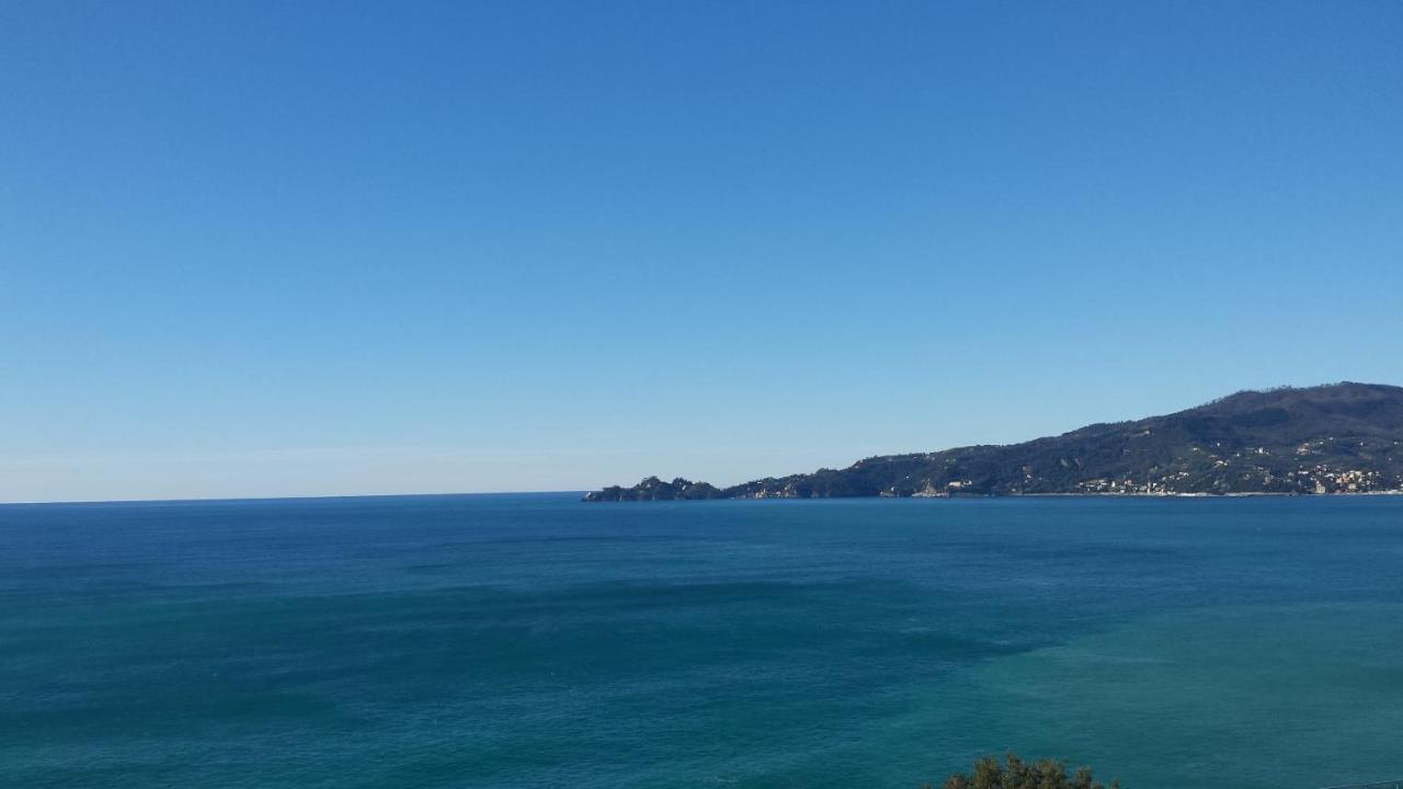 Vista Mare E Portofino - Sea And Portofino View Apartment Zoagli Exterior foto
